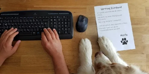 Der Bürohund bekommt einen Vertrag